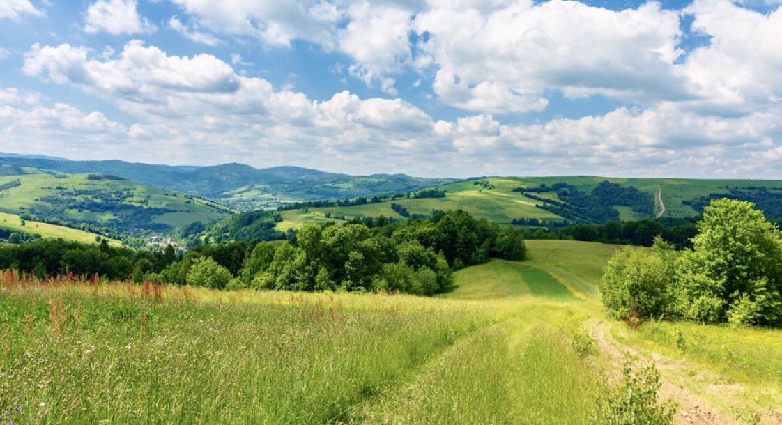 A_AMilne's tweet image. "The true footpath is not planned and dug, but is something which has happened over the centuries as generations of feet have agreed this was the best way of getting to wherever it was they were bound for. It was feet that chose and made the route." ~C.R.Milne #WednesdayWisdom