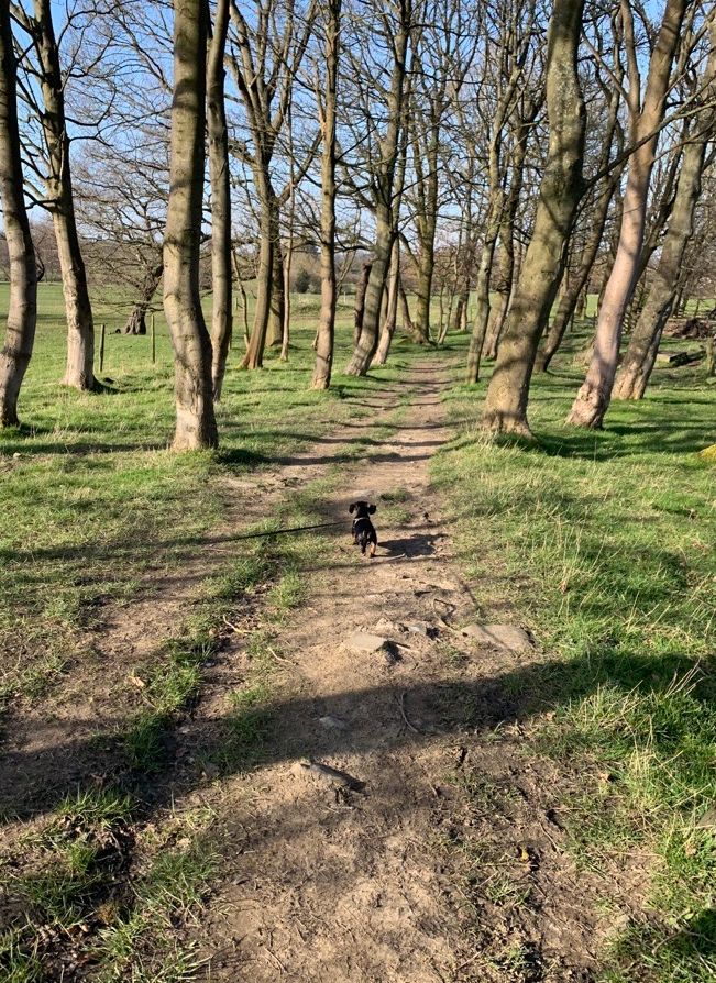 What's your favourite form of daily exercise?
🚴‍♂️ Bike ride
🌳 Walk
🏃‍♂️ Run
#StayHomeStayHealthy
