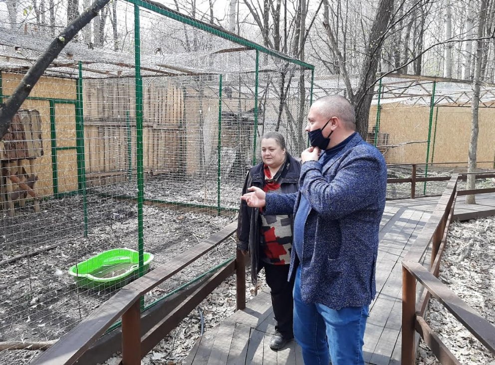 "Доходы упали из-за закрытия эко-парка от посетителей". Симбирский центр спасения диких животных просит финансовой помощи ulpressa.ru/6RTqfni