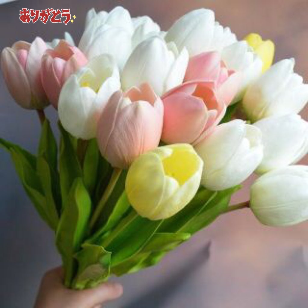 everzshin777's tweet photo. @HIKARUbluerose 🌹優しい光さん🌹
こちらこそ💗ありがとうやよ💗
✩(*´︶`*)✩Thanks♡

本当にお互い🌷無理なくいこうね🌷💁‍♀️ https://t.co/gfrtkv2vc5