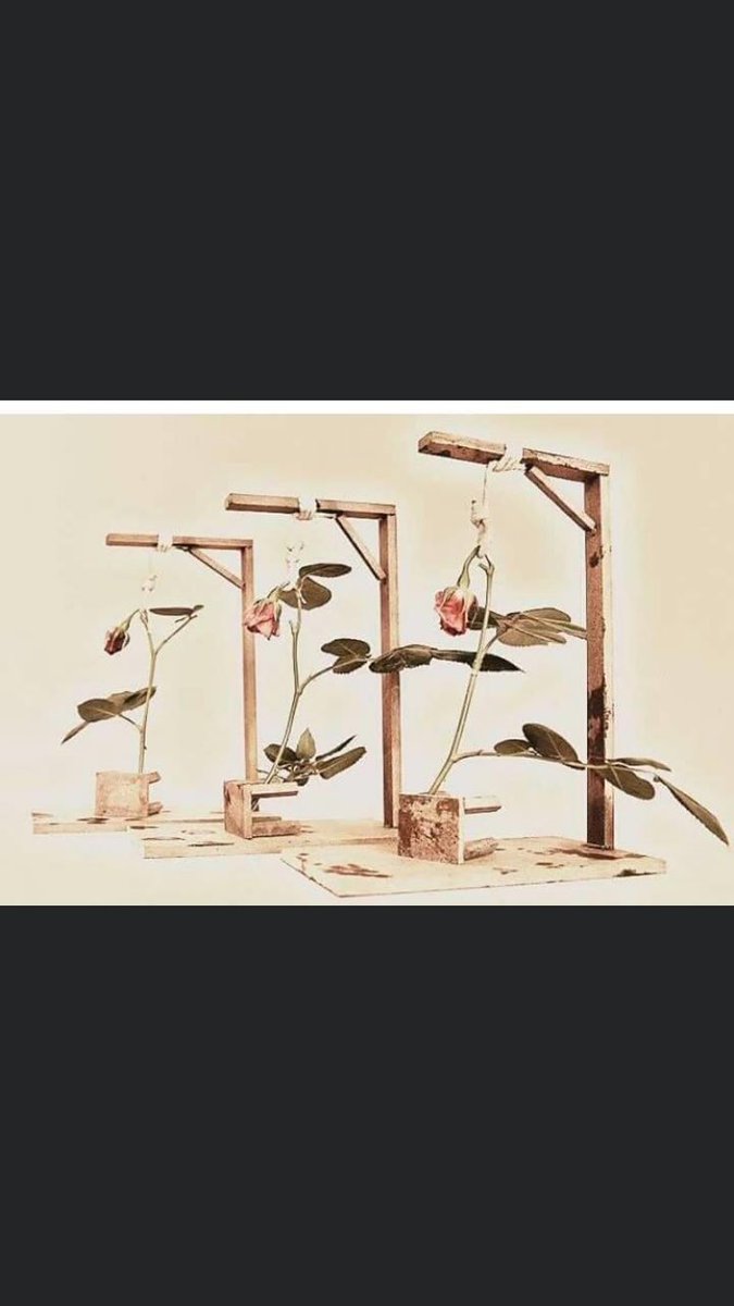 #DenizYusufHuseyin #Darağacında3Fidan