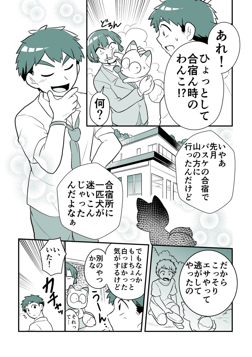 【創作】
「白ギツネの恩返し」の巻
(お雪の恋編③ 完)
#手裏恋 