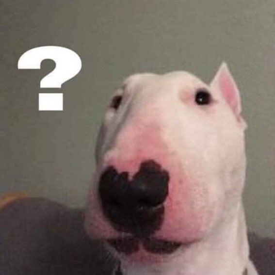 reactmemes_jpeg's tweet image. 