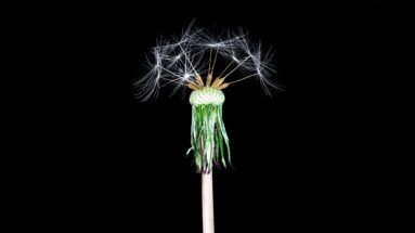 lizwebercmc's tweet photo. How to Talk to Your Team When the Future Is Uncertain -- https://t.co/t4LXXaM0bP --
#LeadershipTalk #LeadingTeam #CultureChange #communication #NecessaryConversations # https://t.co/JkoUGJiERQ