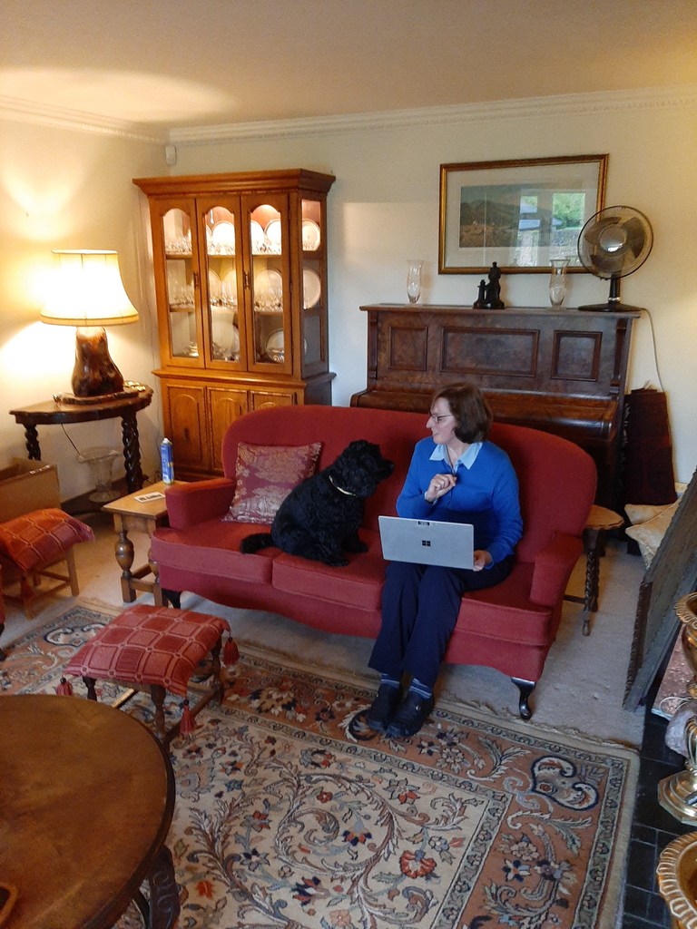 NorwichSchool's tweet photo. Here's Mrs Wood working with her dog Ebony. Thank you to everyone who has sent in a picture of themselves with their pets #petsofNS https://t.co/B3hIwru6Fa