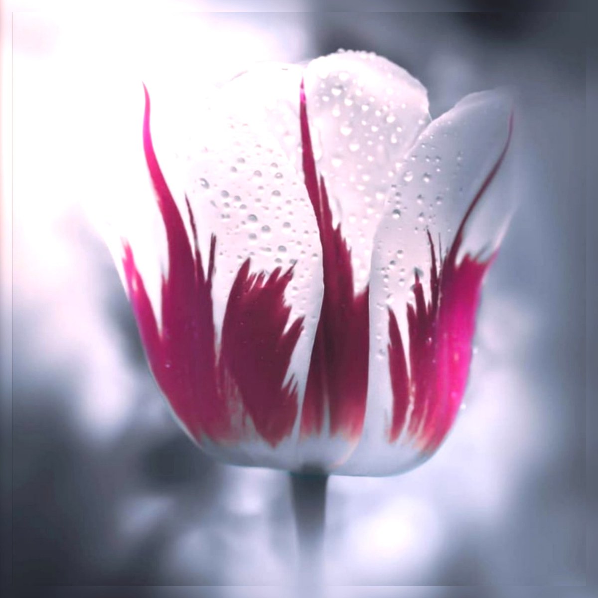 #صورة_ملف_شخصي_جديدة