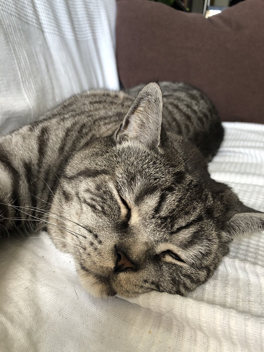 ranflab's tweet photo. Day 3/7 - seems I am lacking behind 🤔 https://t.co/YeIwNj3bI0