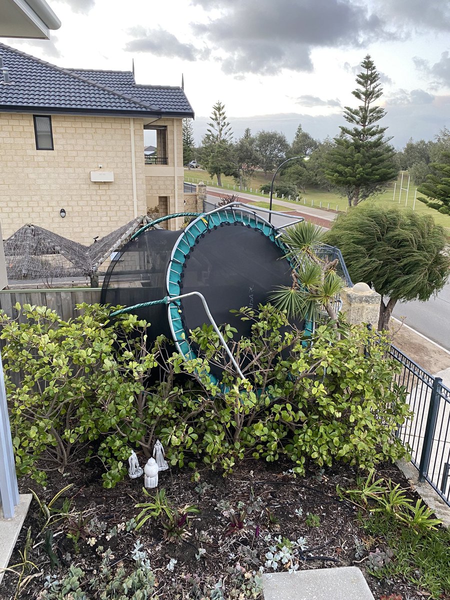 David Brown tweet media