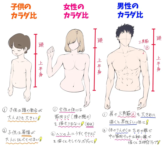 【男性→女性→子供の描き方】

カラダの比率が上達しやすいコツ✨ 