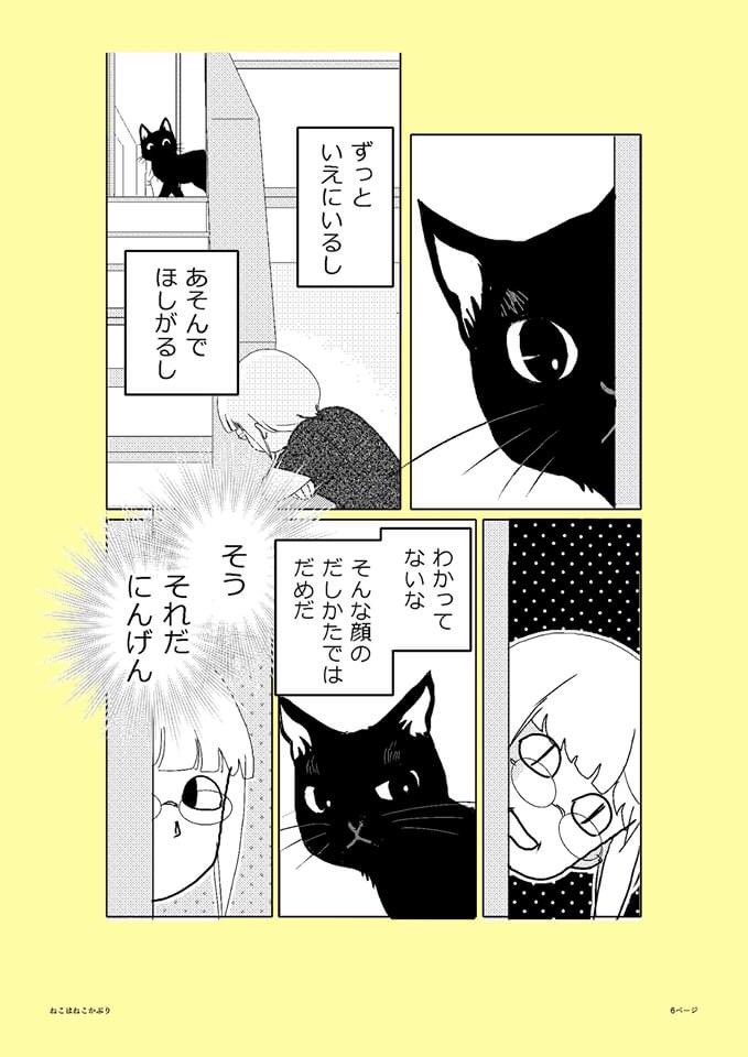 【ねこはねこかぶり】
第9話 Stay Home(2/2)

君がいてくれるから

#ねこはねこかぶり
#黒猫クウ 