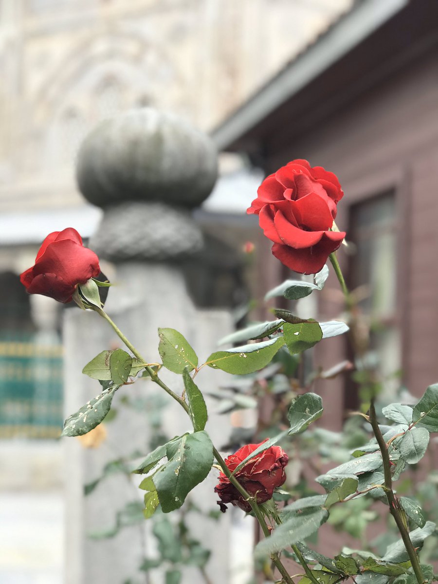 اِعْتَبِرْ بِمَنْ مَضىَ قَبْلَكَ،
وَ لاَ تَكُنْ عِبْرَةً لِمَنْ يَأْتي بَعْدَكَ

"Senden önce gelip geçenlerden ibret al. Senden sonrakilere ibret olma.."