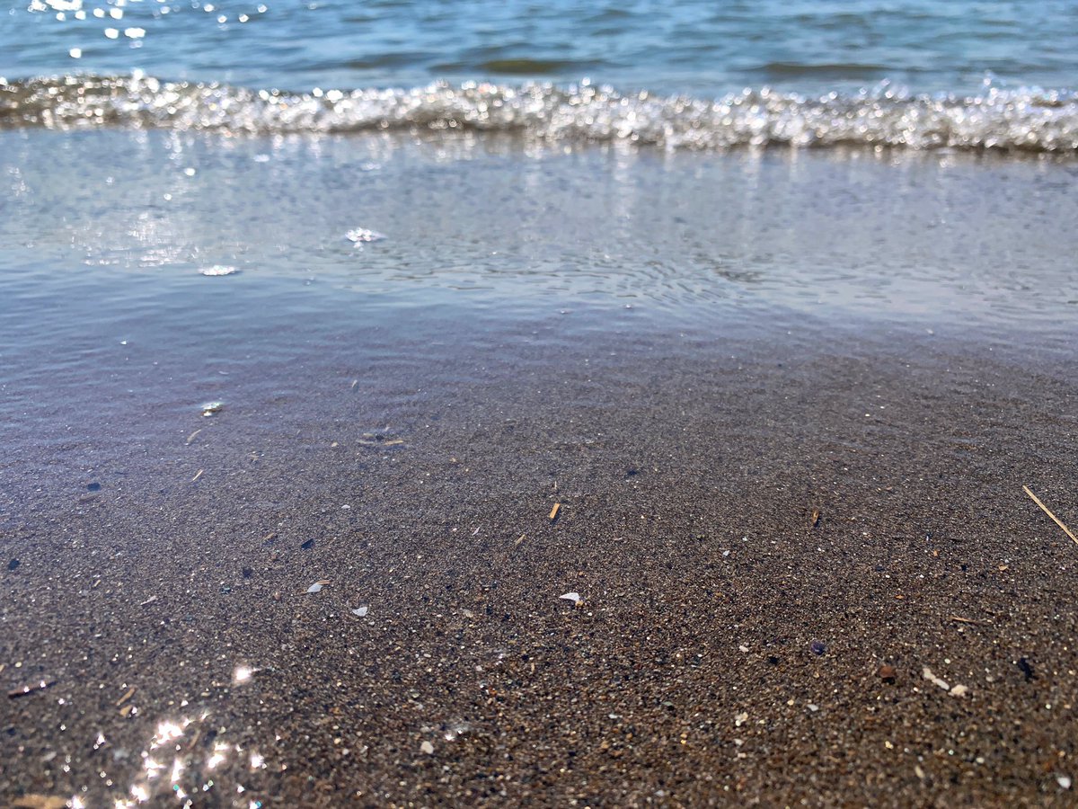 UmiPhoto2018's tweet photo. 夏用デザイン💅が
行き詰まって資料集めに🐠🏖

#新潟 には
素敵な風景が沢山あるので
こんな時だから
気分転換になるといいな〰️🐬✨

#japan #niigata 
#trip #travel 
#photography 
#beach 
#coregraphy 
#ファインダー越しの私の世界
#キリトリセカイ 
#ファインダー越しの海の世界 https://t.co/NQFa2iKOCt