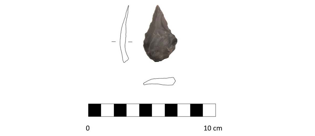 demjan_drzik's tweet photo. Can the #LaserAidedProfiler be used for drawing and analyzing lithics? Why not? This artifact took 1 minute and 20 seconds to draw.
#lithics #stonetools #archaeology #artifact https://t.co/dNZeYVdbzN