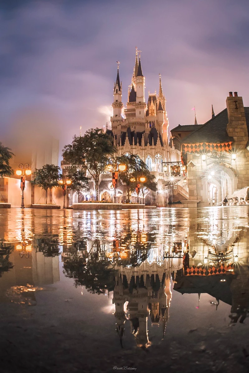 実は晴れの日よりもいい？雨のディズニーランドはインスタ映え間違いなし！