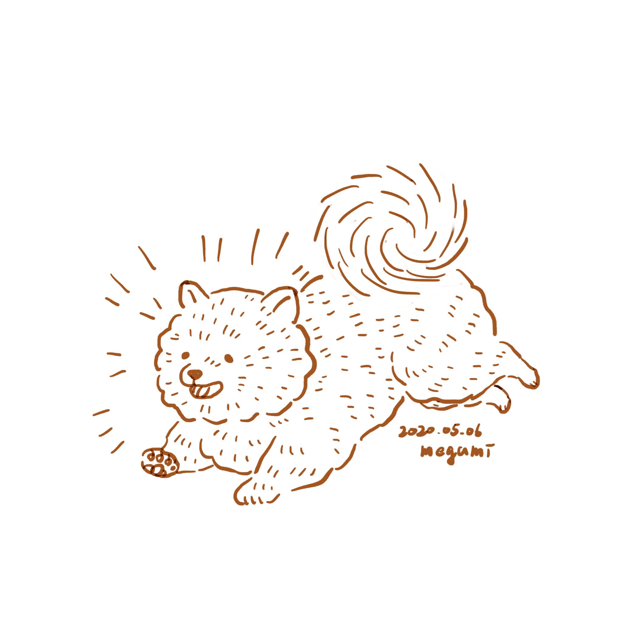 いしかわめぐみ En Twitter 走る犬練習 1日練習してましたがどうしても飛んじゃう 犬イラスト 動物イラスト ポメラニアン 線画 ゆるいイラスト かわいいイラスト Dogillustration Animalillustration Pomeranian 挿絵 カットイラスト T Co