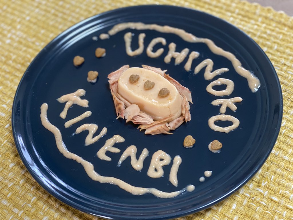 _unagichan's tweet photo. うちのこ記念日プレート🐟⋆｡˚✩
うなちゃん、いっぱい食べたね☺️

うなちゃんがしあわせそうで
よかった。。♡♡♡

#うなぎ #うな #うなちゃん #unagi
#猫好きさんと繋がりたい #猫 #cat
#猫部 #猫モフー #猫写真 #猫画像
#もふもふ #ハチワレ #茶白 #ねこ
#ねこのきもち #うちの子記念日 https://t.co/kS5xJgkxaq