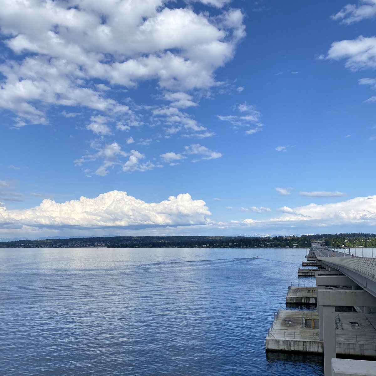 NoWisdomTeeth's tweet photo. 오늘은 호수를 가로지르는 다리를 건넜다.
#520bridge #lakewashington #lake #clouds #floatingbridge https://t.co/RybPYizO6j