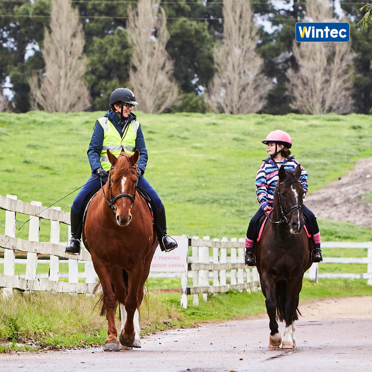 💙🐴 Wintec saddles are for everyone 🐴💙 

Whatever your discipline or your horse's conformation, you'll find a Wintec saddle for you at wintec-saddles.com

 #wintecsaddle #wintecsaddles #noleathernolimits #timetoride