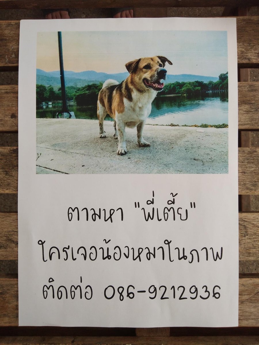 shutup2557's tweet photo. ใครอุ้มไป…
ตอนนี้ยังหาพี่เตี้ยไม่เจอ (12.39 น.)
ทีมงาน และพี่แฟนเพจหลาย ๆ คนมาช่วยตามหาในมออีกครั้ง ปูพรมกันทั้งมอแล้ว เราจะติดป้ายรอบ ๆ มอ ใครเจอรบกวนติดต่อ 086-9212936
#เตี้ยมช #ตามหาพี่เตี้ย
ปล.ในห้องเรียน ในลิฟท์ คูน้ำ ท่อระบายน้ำ ตามซอกต่าง ๆ เราหากันหมดแล้ว https://t.co/jZ1SrMTH1i