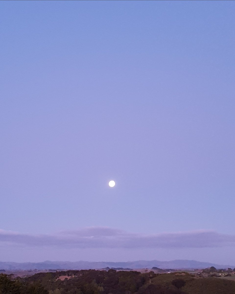 GabyLynch9's tweet photo. #bitchillyout Just came in from admiring my hedge 😃😉 checked on cows over the road and suddenly #moon where did that come from?🤣 https://t.co/yq7zay3Kdm