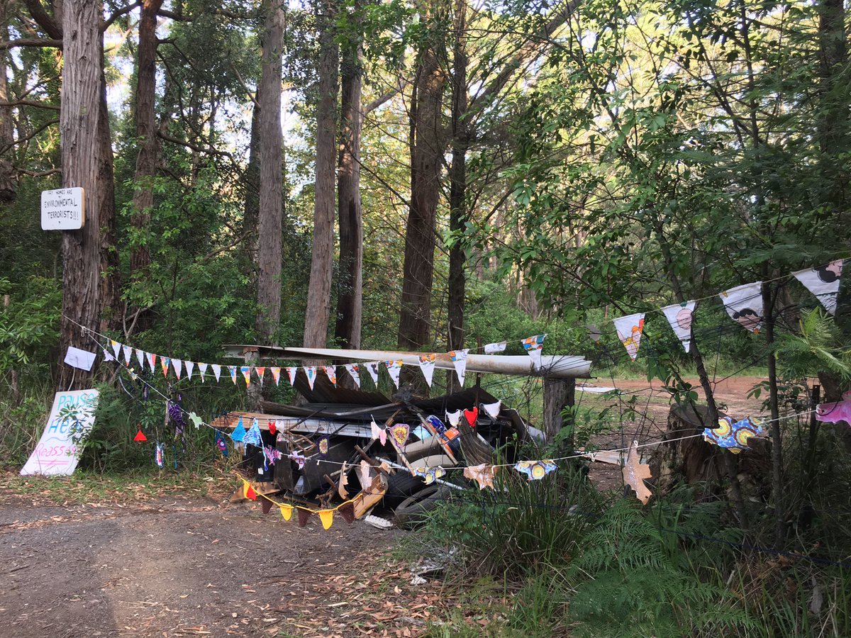 writtenbyluisa's tweet photo. Update on #Manyana: The barricade is still up. #OzyHomes still hasn’t moved in. People are listening to our plea for a moratorium on #landclearing given the huge change in the environment since the #bushfires. Are you listening @GladysB @RobStokesMP? This is bigger than Manyana. https://t.co/xJ9DY1qTEf