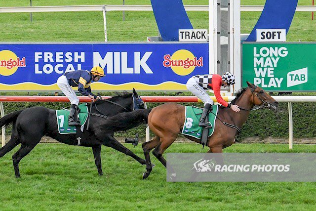tequilaqueen07's tweet photo. #CARLTONHOUSE (Street Cry) bred by HRH The Queen @RoyalFamily sires winner of $225k GR L Warrnambool Cup #TOOCLOSETHESUN for Tr #LindseySmith & ๐ฎ๐ช Jk #DeclanBates..the 1/2 to #TRAPFORFOOLS(PoetsVoice) https://t.co/thv7pDFC47