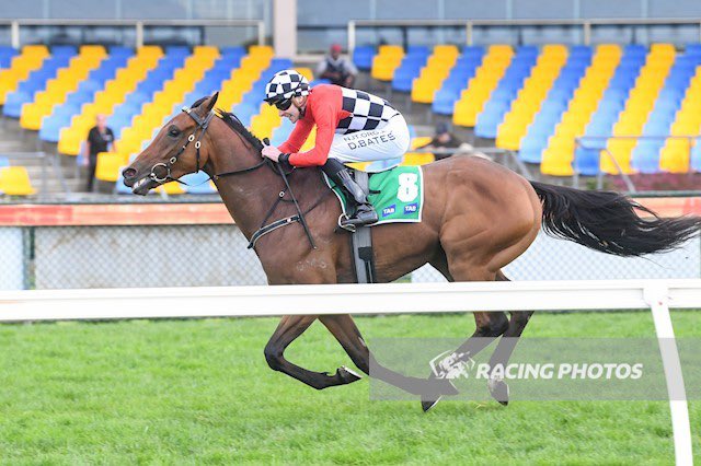 tequilaqueen07's tweet photo. #CARLTONHOUSE (Street Cry) bred by HRH The Queen @RoyalFamily sires winner of $225k GR L Warrnambool Cup #TOOCLOSETHESUN for Tr #LindseySmith & ๐ฎ๐ช Jk #DeclanBates..the 1/2 to #TRAPFORFOOLS(PoetsVoice) https://t.co/thv7pDFC47