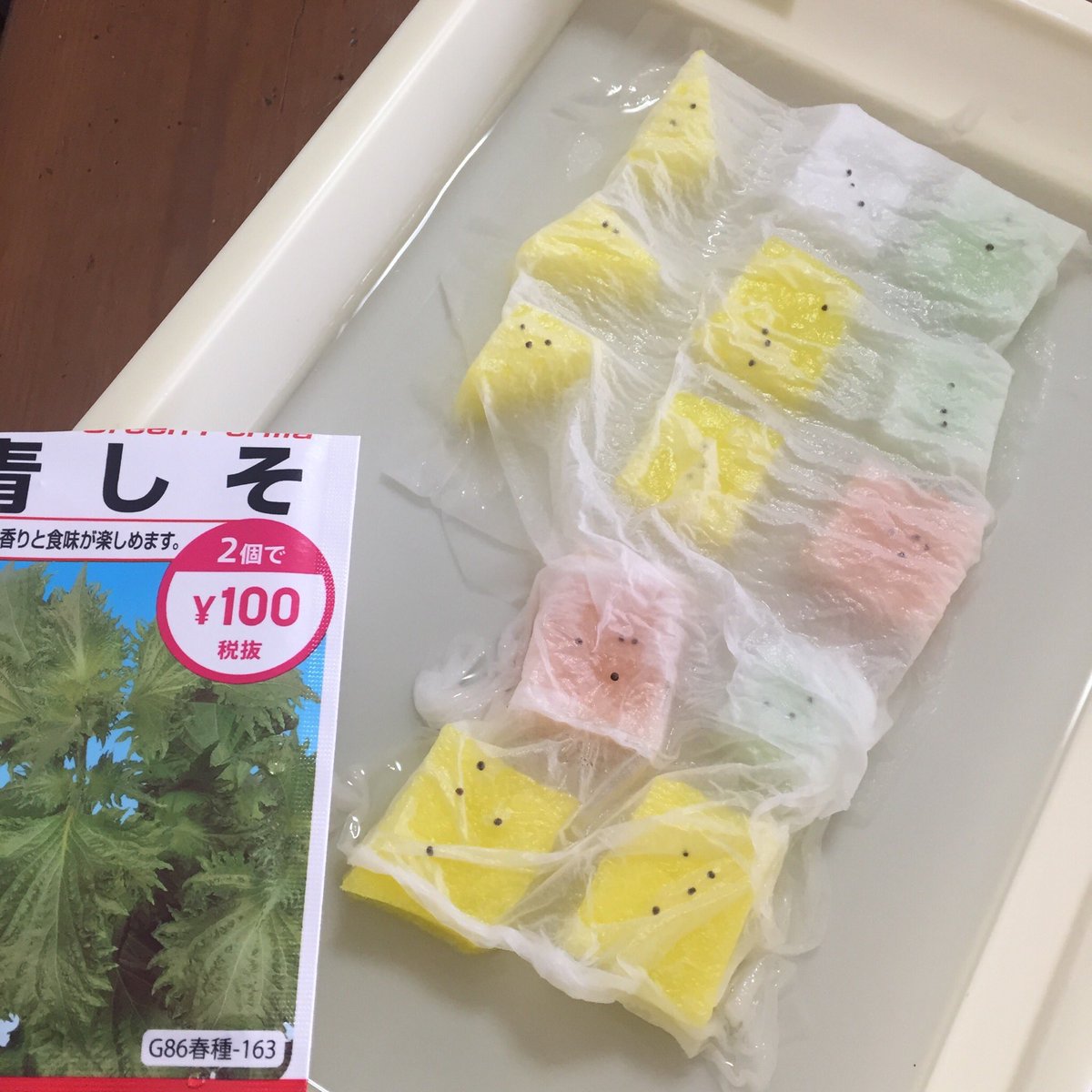 しげろく ベランダ農園スタートじゃ 青しそは水耕栽培を選択 種を水のスポンジにティッシュのせて待つらしい 枝豆 は土のプランターを選択 発芽推進のためにまず水中に種を入れて待つらしい 100均の種やけど死んでないことを祈る 家庭菜園 水耕