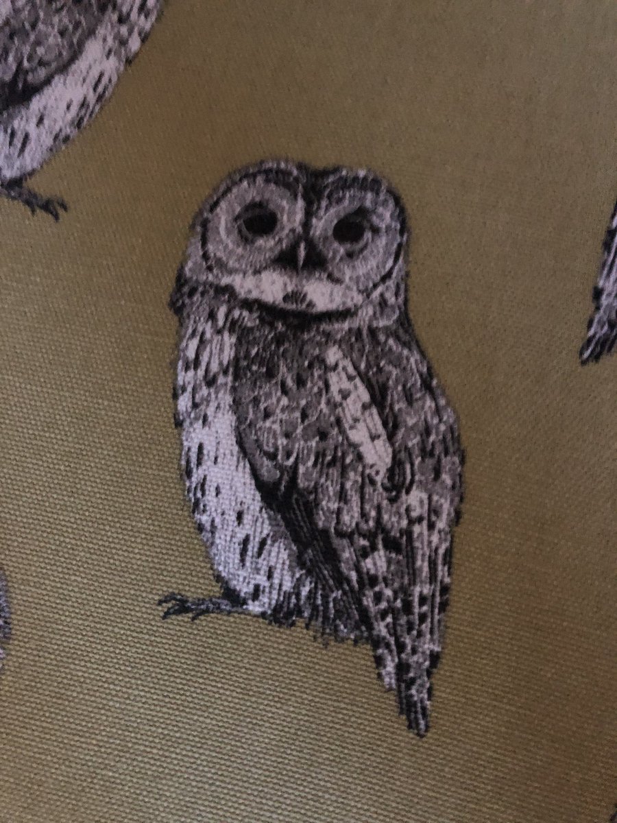 Look at my gorgeous chubby stool from <a href="/CushionCottage/">Cushion Cottage</a> in #Reepham  I used to work with the lovely Sally who owns the shop, she has the most beautiful items in there, please take a look at her page 😊 🦉