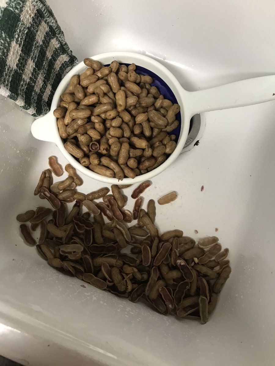 srthig's tweet image. Oops