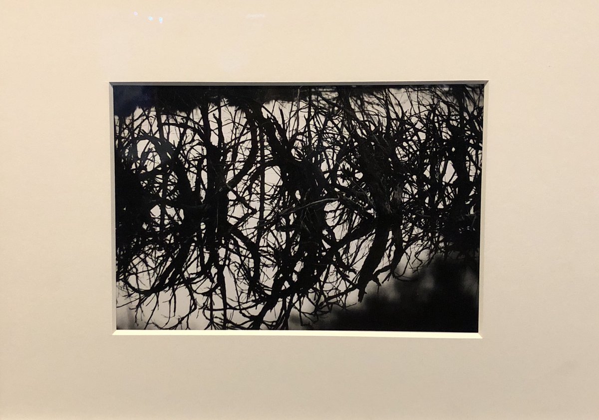 sxamrm's tweet photo. Back in late 2019 for Hans Hartung retrospective @MAM Paris ✨✨#hanshartung #hartung #lafabriquedugeste #mamvp #art #arthistory #collection #arbstract #contemporaryart @docteurschless @CentrePompidou @galerieperrotin @SimonLeeGallery @E_Perrotin https://t.co/dKysQI7pNy