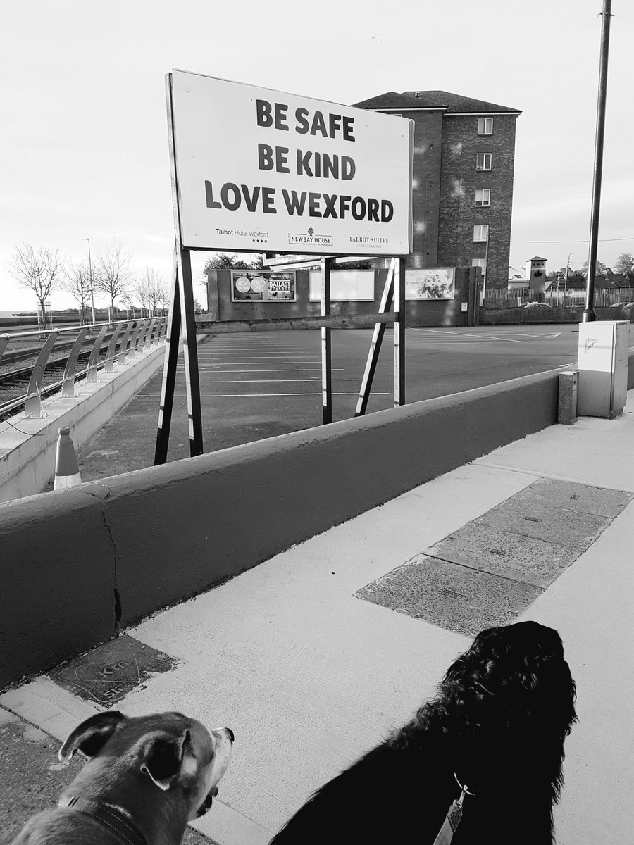 Majella Londra (@jellybug_27) on Twitter photo I love this sign that the <a href="/TalbotWexford/">Talbot Wexford</a> has up...💕 <a href="/TalbotHotels/">The Talbot Collection</a>
#besafe #bekind #lovewexford I love this sign that the <a href="/TalbotWexford/">Talbot Wexford</a> has up...💕 <a href="/TalbotHotels/">The Talbot Collection</a>
#besafe #bekind #lovewexford