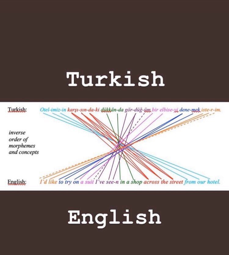 Selam, altin madalyaliksiniz eger ingilizce konusabiliyorsaniz. Bugun kendinizle gurur duyabileceginiz birsey paylasmak istedim. 🇹🇷😘