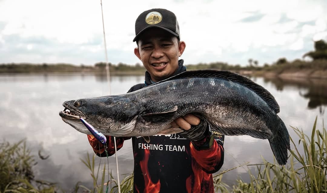 ExodusFishing's tweet photo. Monsteeerrrrr https://t.co/iY2jzJOBMG