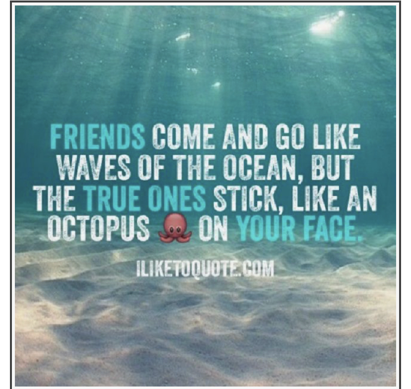 🐙🐙🐙🐙
............
#northwichcircle #ladiescircle #ladiescirclegbi #octopus #friendshipmemes #ladiescircleinternational #celebratingfriendship #womensupportingwomen #friendsforlife #community #charity #getinvolved #northwich #northwichlife #Cheshire #covid19 #zoom