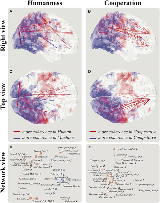 introspection's tweet photo. 👉Finally, after >6yrs of work, it's published! 🍾#NeverGiveUp
🤖🔄🧠 Combining hd-EEG and real-time bio-inspired avatar, we reveal how Fronto-Parietal Network links Sensorimotor Coordination (system1) and Representational (system2) Social Cognition https://t.co/A9UNcvOJcg #rTPJ https://t.co/YkXGpUdsiT
