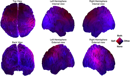 introspection's tweet photo. 👉Finally, after >6yrs of work, it's published! 🍾#NeverGiveUp
🤖🔄🧠 Combining hd-EEG and real-time bio-inspired avatar, we reveal how Fronto-Parietal Network links Sensorimotor Coordination (system1) and Representational (system2) Social Cognition https://t.co/A9UNcvOJcg #rTPJ https://t.co/YkXGpUdsiT