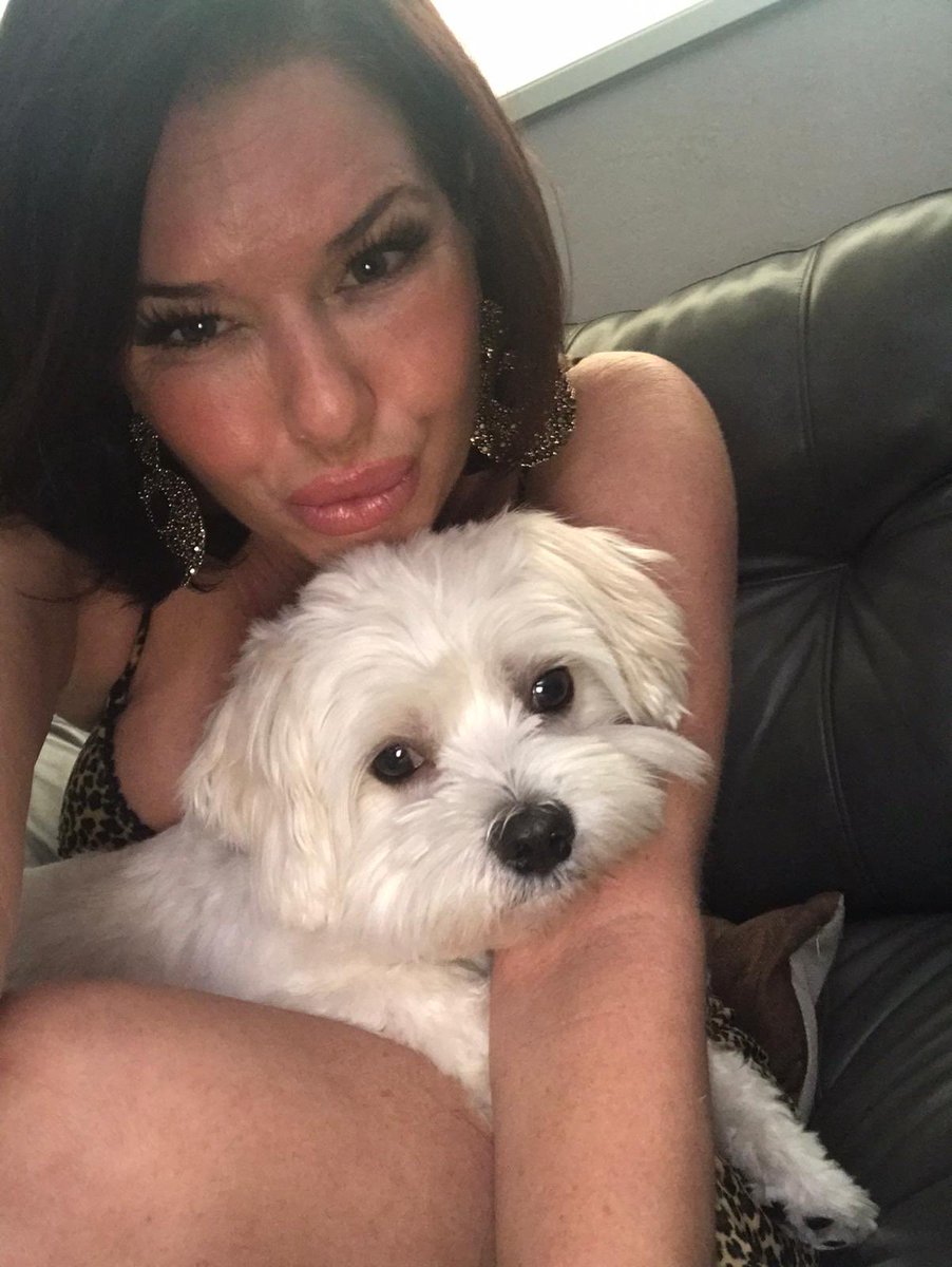 VeronicaAvluv's tweet photo. Well, happy Cinco De Mayo folks! I'm happy I have this baby here to keep me company! He's a sweet sweet puppy! https://t.co/2WcZuuyfs6