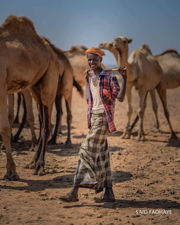 SakayAhmed's tweet photo. #Ifka niman geel lehen wa loyaba #quruxda_Gela somalida❤ https://t.co/wTk23aVAQd