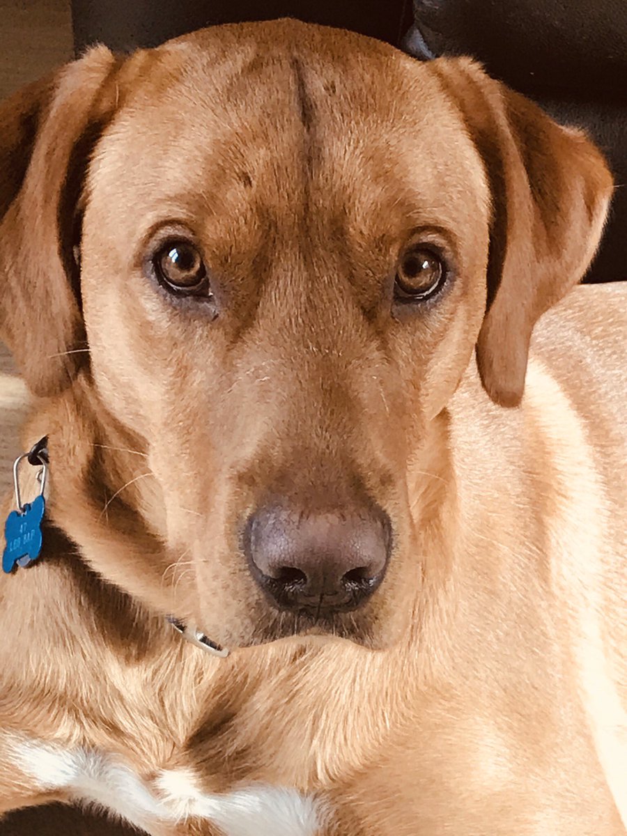 MellBeynon's tweet photo. Love this boy. He gets me. https://t.co/zSJfIN6GI4