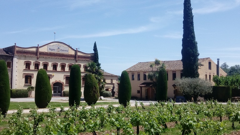 pagesentrena's tweet photo. La natura no s'atura, i nosaltres tampoc.
Salut, vi i cava!
#enviamentgratuït #AlimentsDeProp #vi #cava #Piera #venc https://t.co/gMtN90Km6P