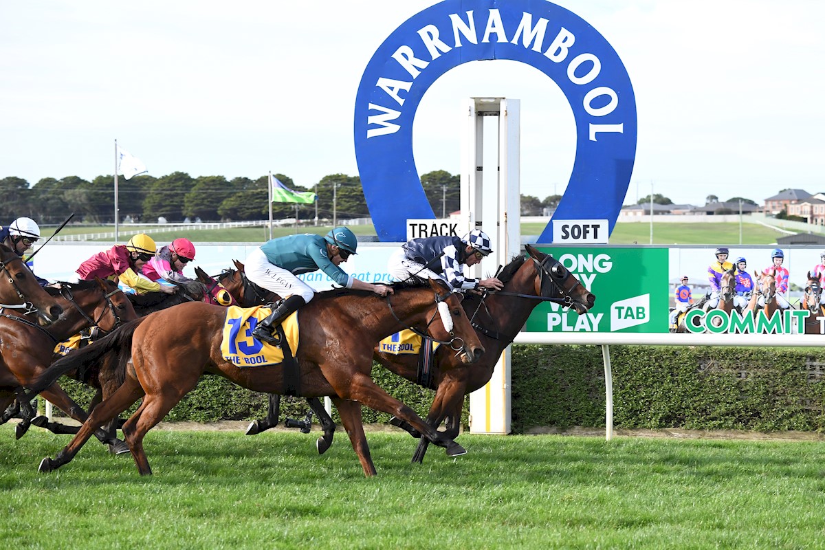 Carbine_Racing's tweet photo. A huge first up run by Stiffy in the Newmarket of the Bush to finish a fantastic second behind an inform & racefit horse! Fantastic training performance by @TheLordLindseyy to nearly pull it off #Wangoom #Bool #Stiffy https://t.co/0QKFqWOuN9