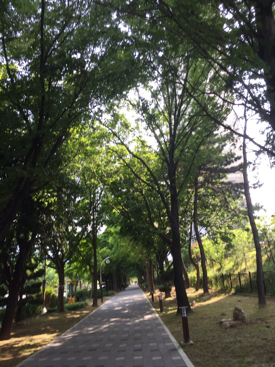 Yusun_03's tweet photo. 날씨 너무너무 더워 https://t.co/XCMlfTmK6g