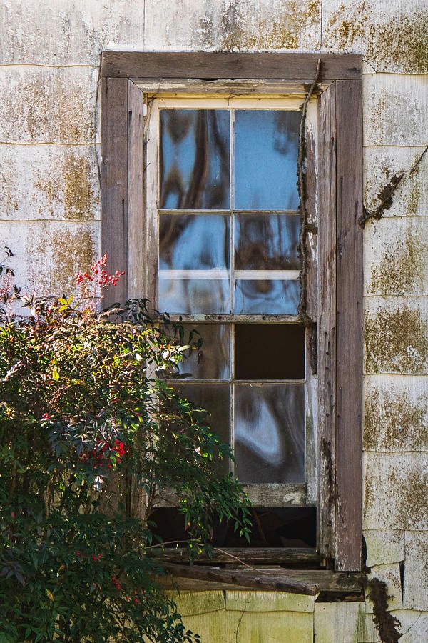 artzmaryann's tweet photo. #BENPC #lockdownphotochallenge #windows #window #forgottenbytime
"Window to the Past"
https://t.co/xhQ7ljCFQ9 https://t.co/GY8v19sikI