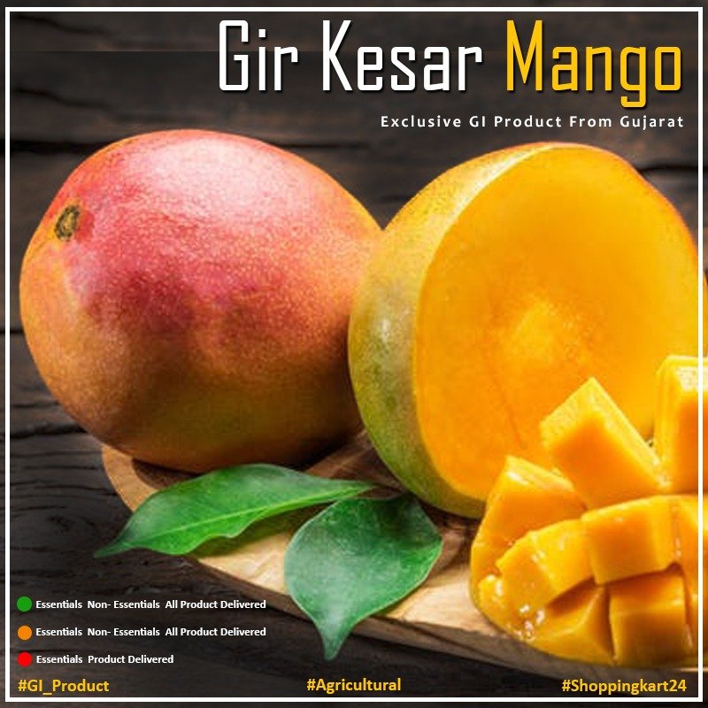 AuthenticGI_'s tweet photo. 🥭#GirKesar #Mango is a well-known variety of mango in the #Gujarat State. This #fruit has distinctive characteristics: #taste, #aroma, #pulp colour and #sweetness.
🥭👉 https://t.co/NmxAYpRkPz
🥭📲 : 9161898733
#GeographicalIndication #Mangoes #StayHome #Foodie #SummerSeason https://t.co/35GkI0Mys6