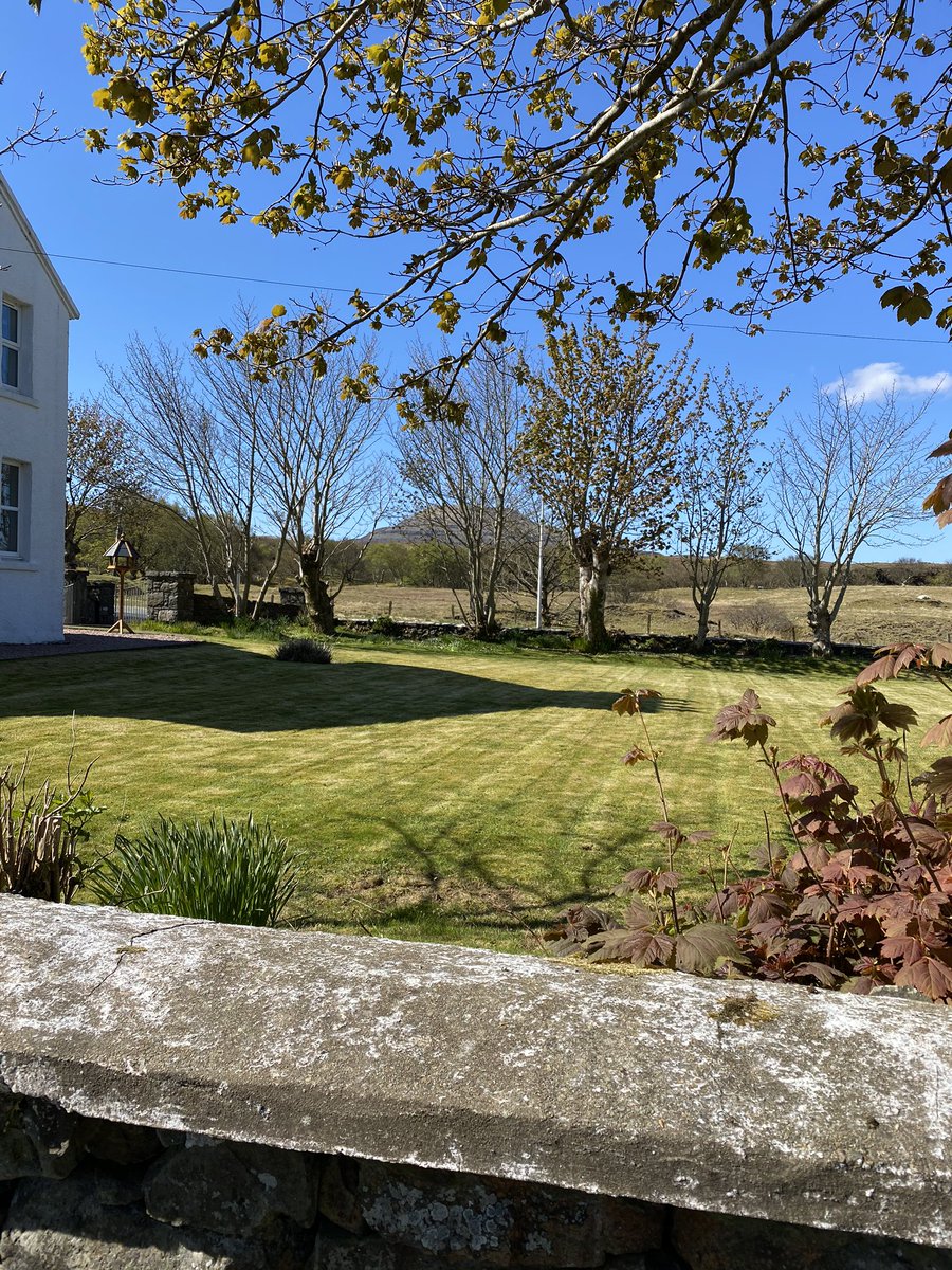 MillburnSkye's tweet photo. Enjoyed the restful 6,500 steps to cut the lawn (moss) today, just what my brain needed! #millburnskye #Skye #Dunvegan #bedandbreakfast #dreamnowvisitlater #ParkinsonsUK https://t.co/lSSKhL0b1G