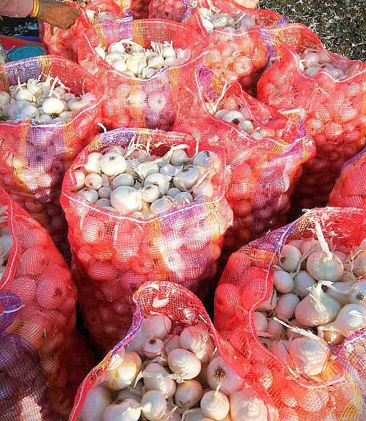 TreadeeO's tweet photo. #Export #Exim #onion #onion_farmer #indian_agri_commodity @APEDADOC @Agri_Exports #overseas_trade #white_onion🌰🌰🌰 https://t.co/v4PYlmrDP3