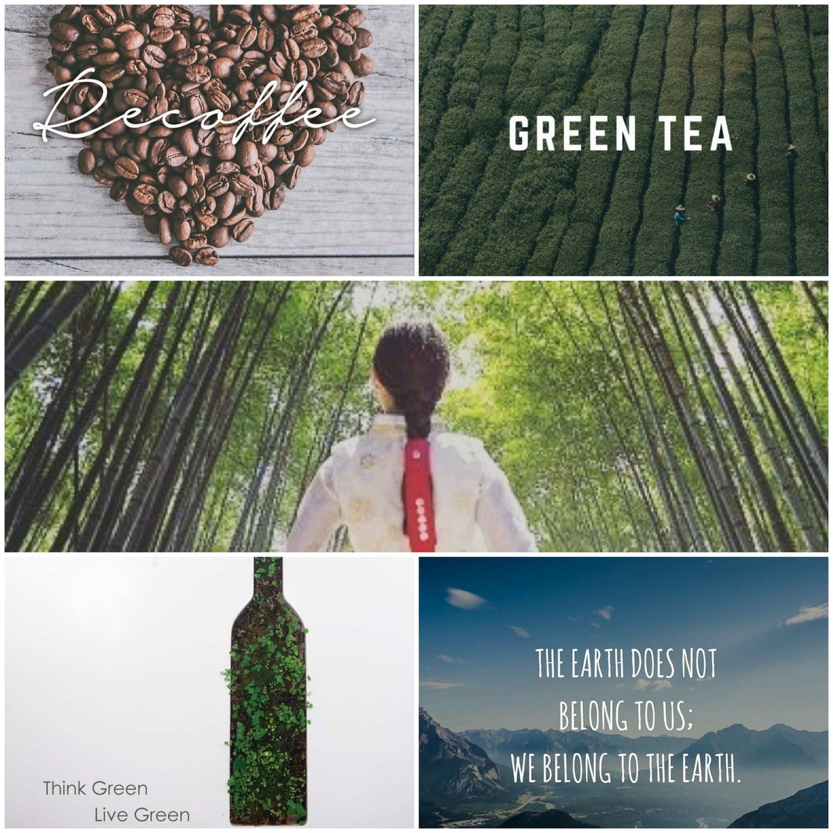 Koffie , groene thee en bamboe?
Wat heeft dat met Haar en Co te maken vraag je jezelf af?
We hebben deze periode gebruikt om te evalueren.
Wij zijn tot een conclusie gekomen.
Welke dat is?
Stay  tuned !
#kapper #COVIDー19 #nature #hair #haircare