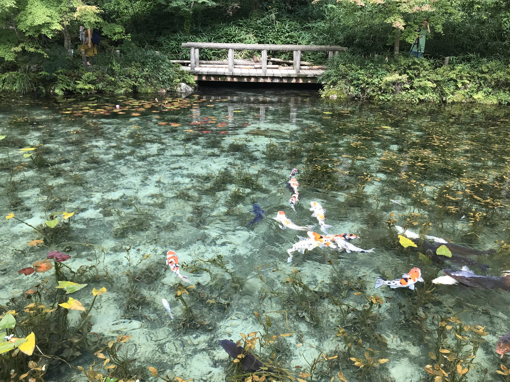 めっちゃまんまやんすごい  