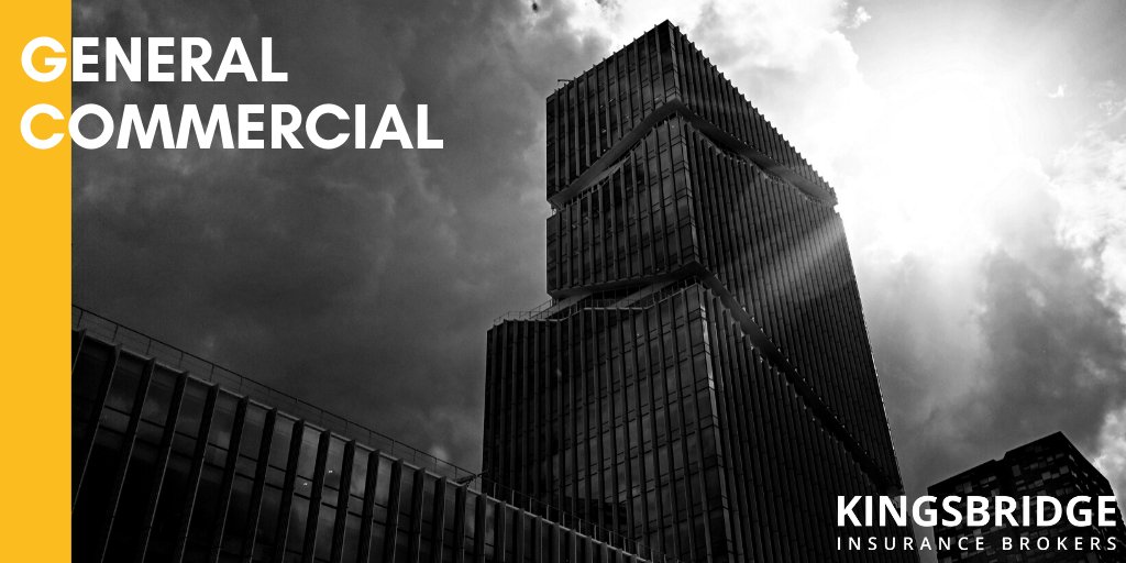We pride ourselves on our in-depth experience of dealing with major UK &amp; multinational clients, &amp; the complex insurance and risk management issues involved: bit.ly/2Sts6po

#insurancebrokers #kingsbridgeinsurancebrokers #insurance #riskmanagement #wednesdaywisdom